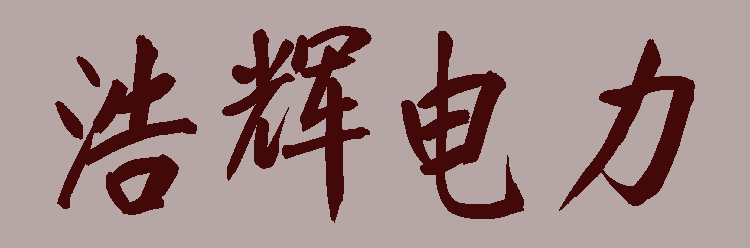 安徽省浩辉电力股份有限公司