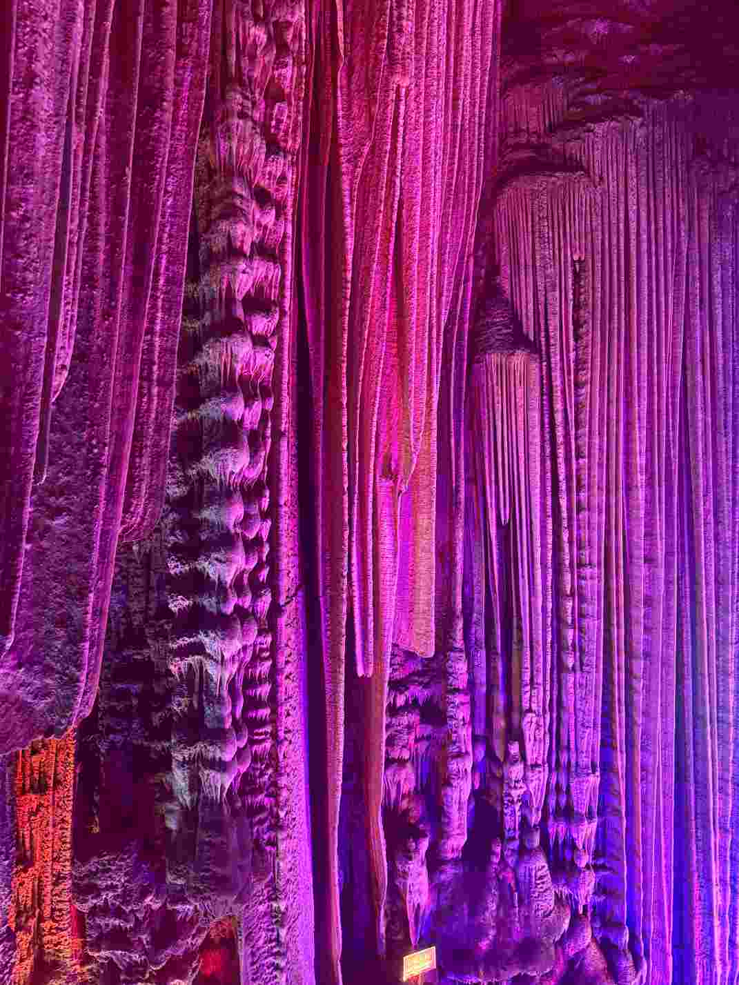 2025年国威全国代理商大会团建活动纪实二图片