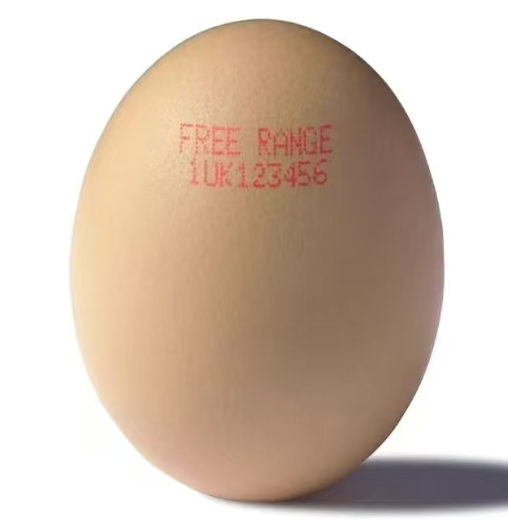 蛋香情浓，「码」到成功！广州领仕标识在蛋类产品的应用