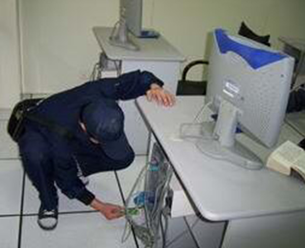 办公室杀虫案例