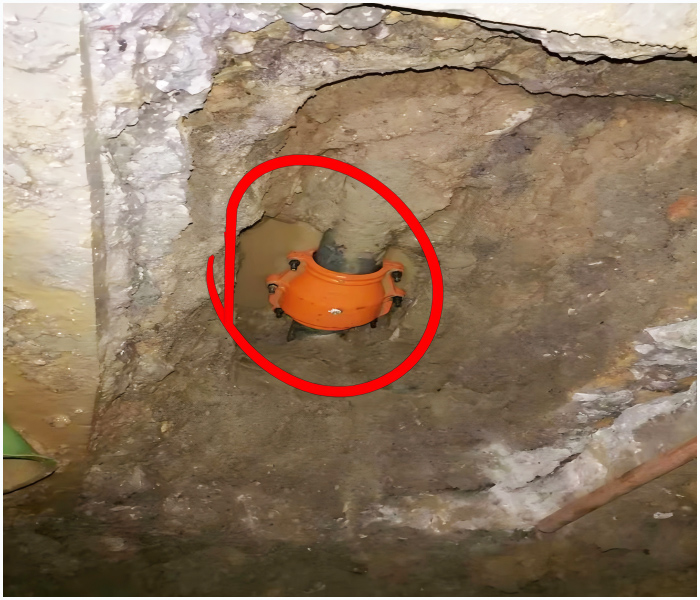 20250820103613_42769.jpg 图片5(1).jpg