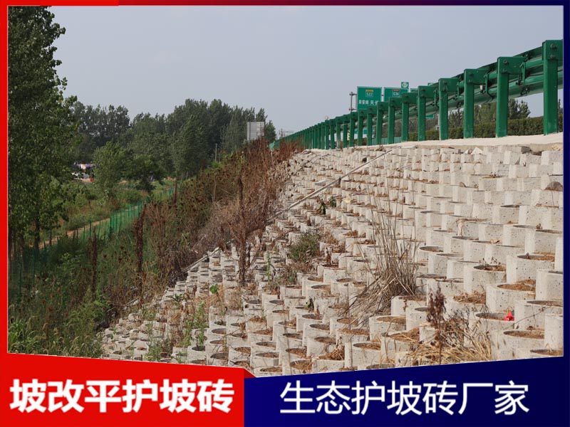 坡改平生态护坡砖工程案例