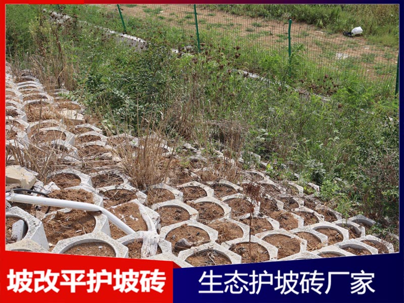 坡改平生态护坡砌块工程案例