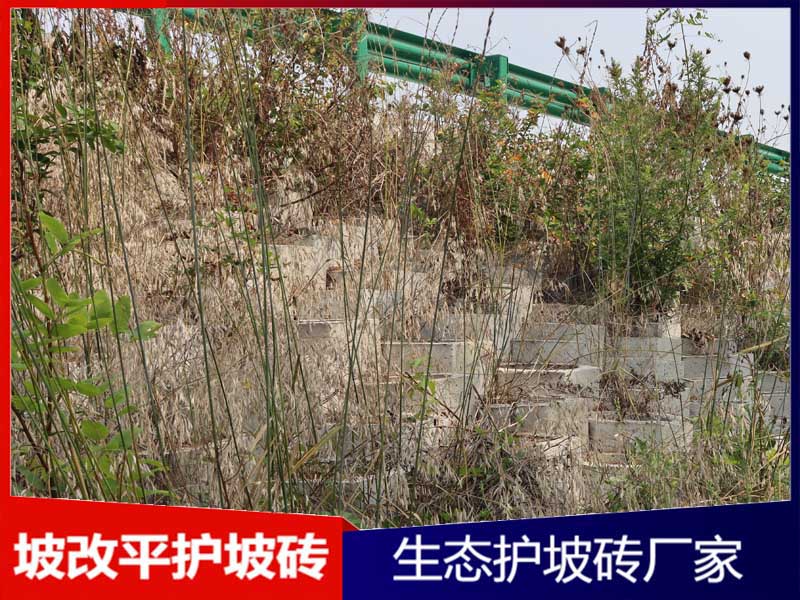 坡改平护坡砖案例展示