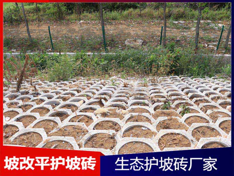 AHBRK-STHPZ020坡改平护坡砖