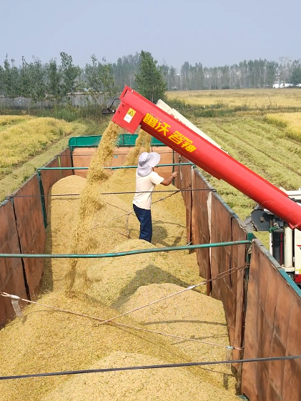 20241025140513_31096.png 03.png