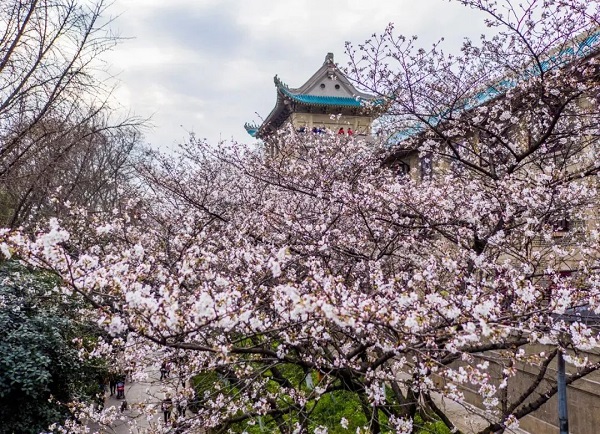 20240407153623_25759.jpg 640.jpg