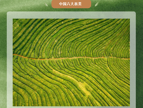 20240523100858_66179.png 63f2027bcb339579eac44c2235b0487.png