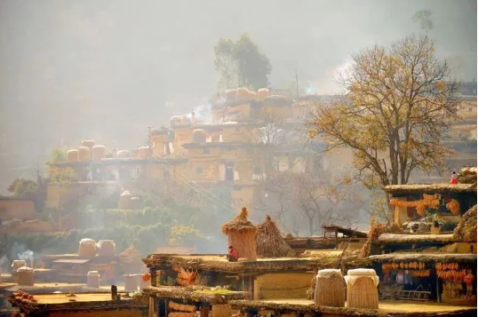 20250528101311_56053.png image.png