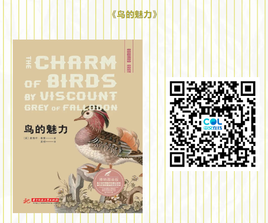 20250701111038_86057.png image.png