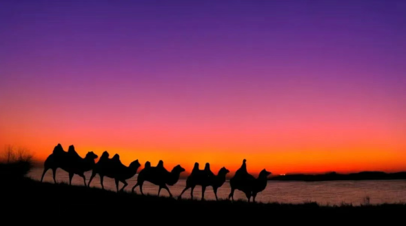 20250701162416_83134.png image.png