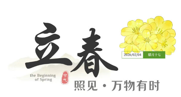 20260215163829_10018.png image.png