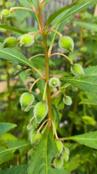 20260226164717_31124.png image.png