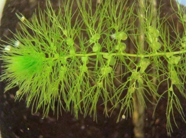 20260327165110_83719.png image.png