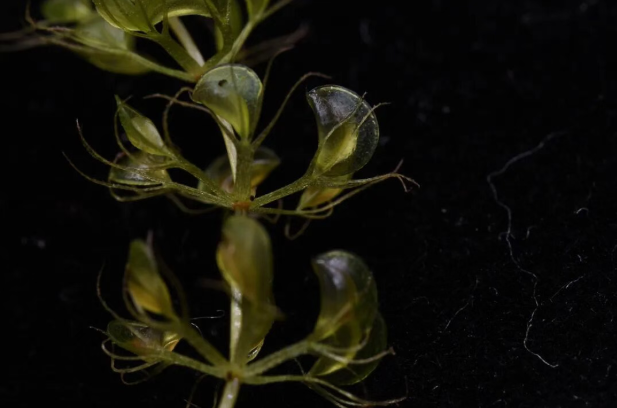 20260327165320_36389.png image.png