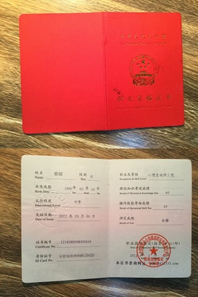 国家三级心理咨询师-侃侃老师