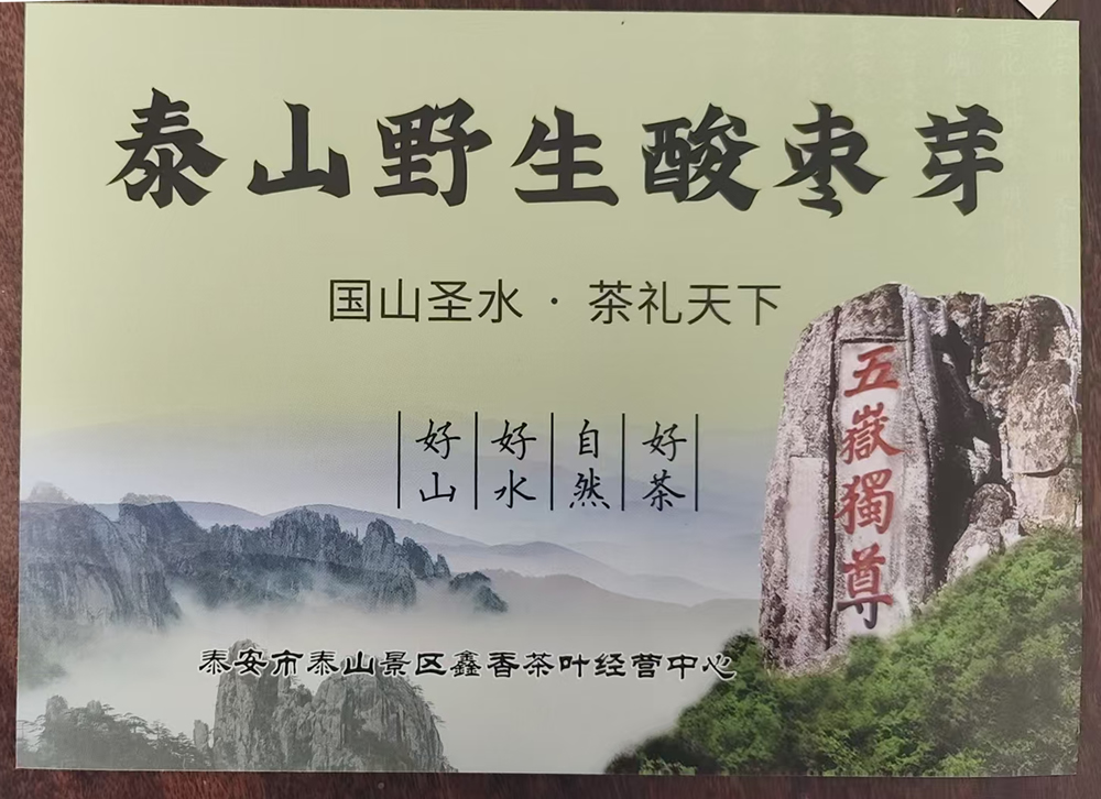 泰山野生酸枣芽