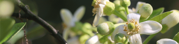 20210302141913_89614.gif 640.gif