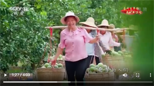 20210912135828_84415.png 橘红 橘祥福9.png