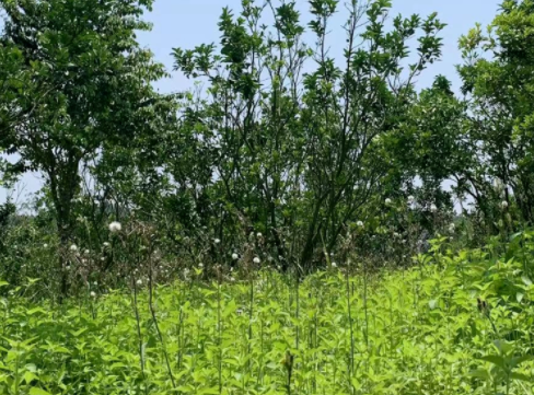 20220510100357_19828.png image.png