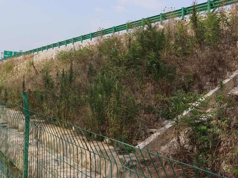 坡改平护坡砖案例