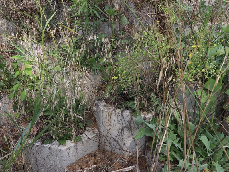 20250806173130_56868.jpg 11.jpg