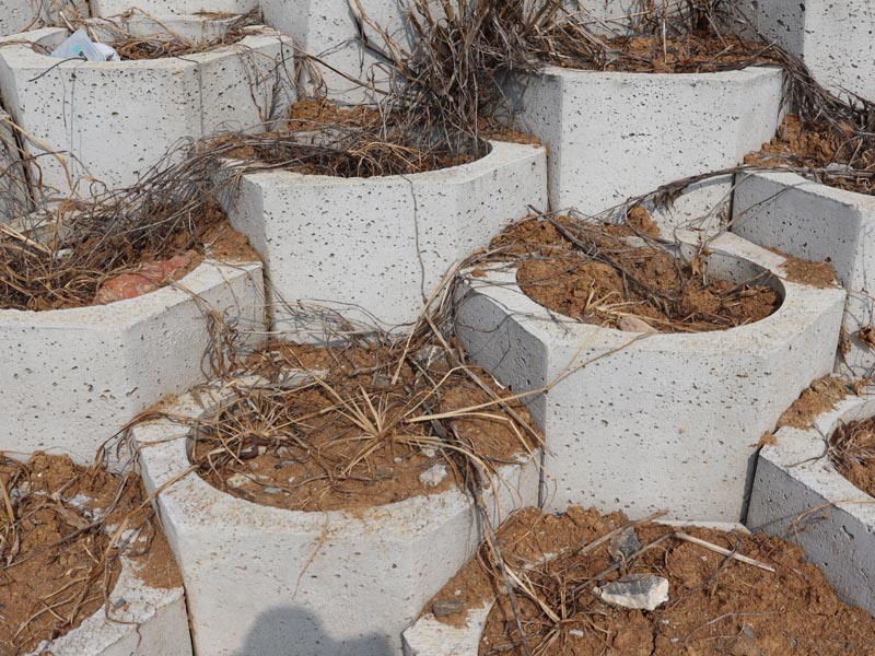 20250806221327_47295.jpg 102.jpg