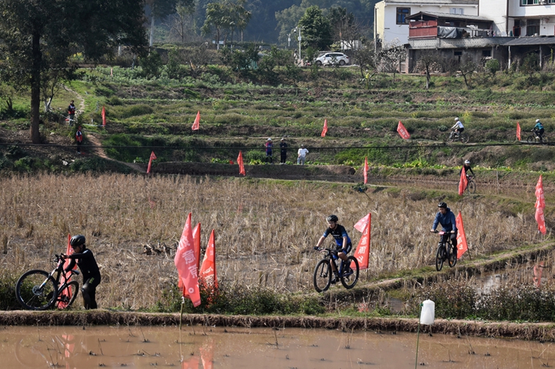 2026第三届稻田田埂自行车赛 (8).JPG