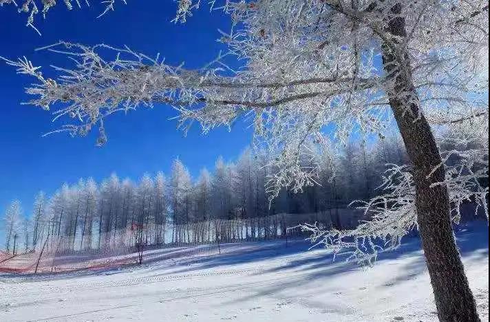 东北哈尔滨滑雪场www.gongsilvyou.cn12.jpg
