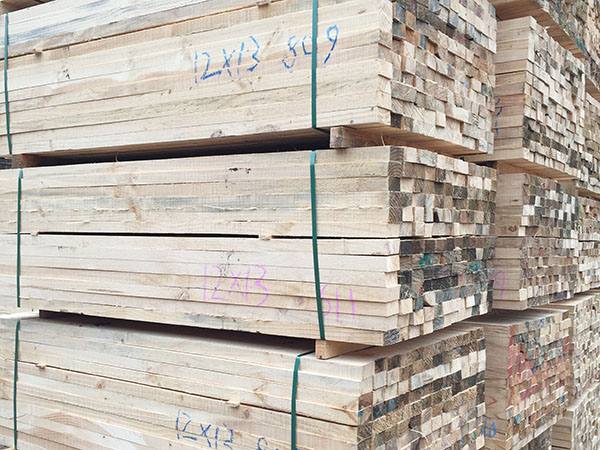 辐射松有什么特性？湖南橙天来解答！