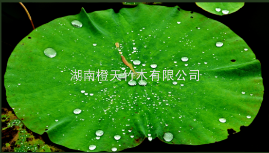 20240803110637_80986.png image.png