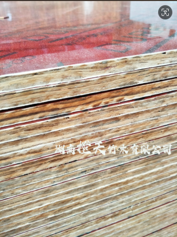 20240911100354_97969.png image.png