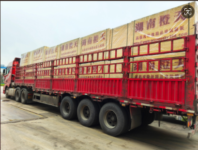 20240927104601_80845.png image.png