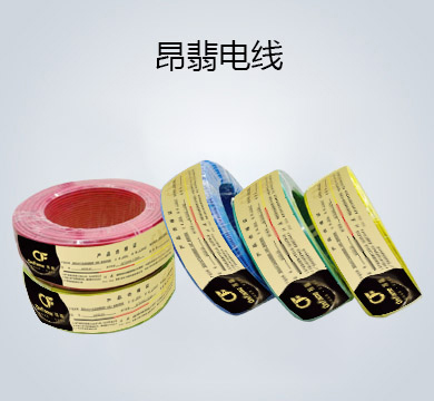 深圳欧倍科技发展有限公司,深圳欧倍,欧倍科技,德国欧倍,欧倍,德国欧倍控股集团有限公司,水电建材,德国欧倍管业,欧倍管业,欧倍线缆,家庭装修,水电管道系统,用水电材料