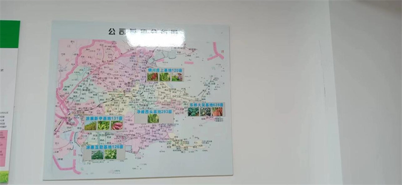 星创天地场地布局图和基地分布图