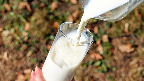 骨质疏松只要高钙饮食、补钙片就好？想补钙这个时间点好