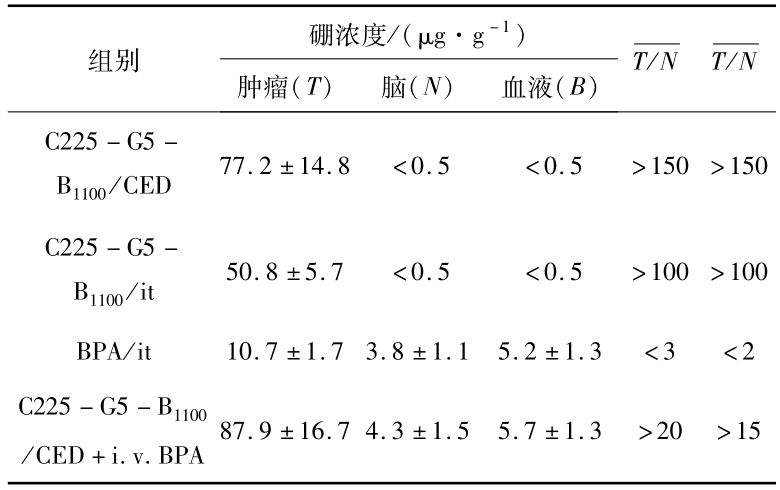 BNCT硼药 | 靶向药物的开发