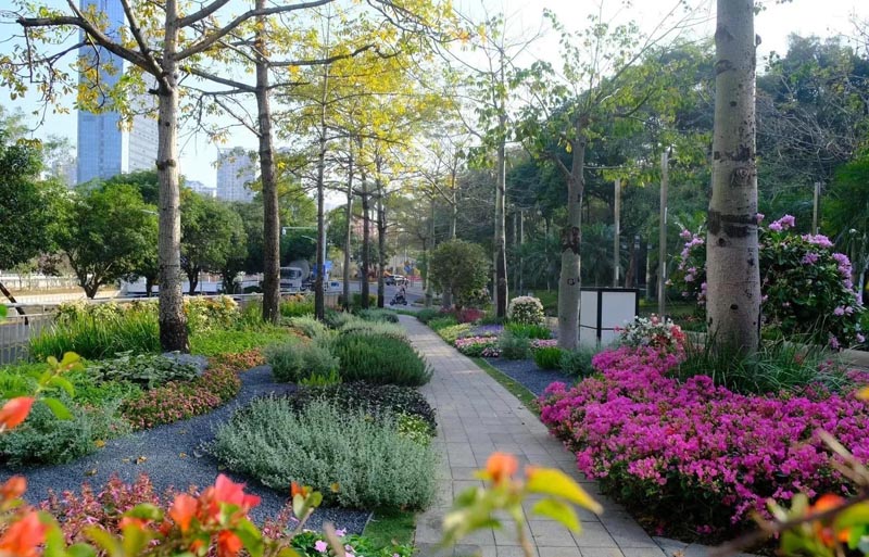 花境設(shè)計(jì)