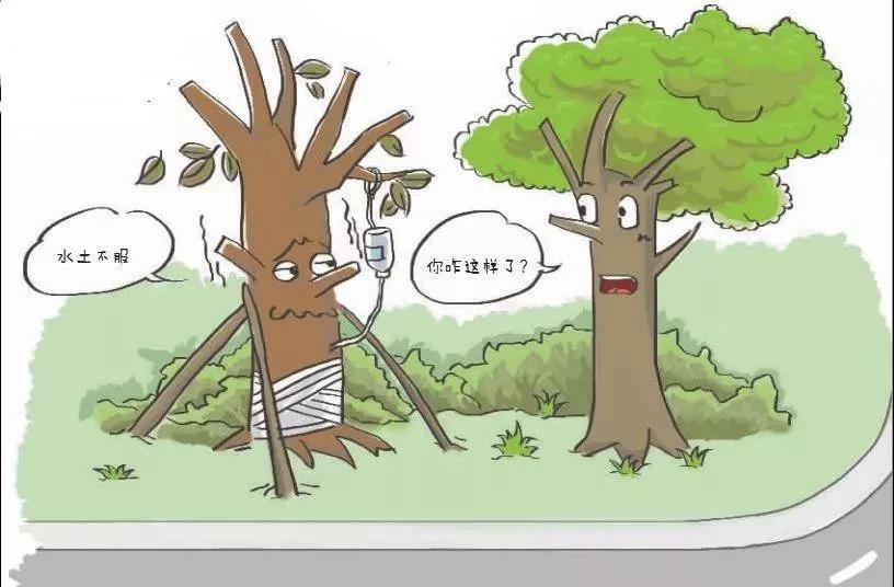 20201028112044_54674.jpg 5.jpg