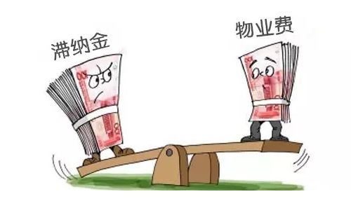 20201124094046_19246.jpg 8-1.jpg