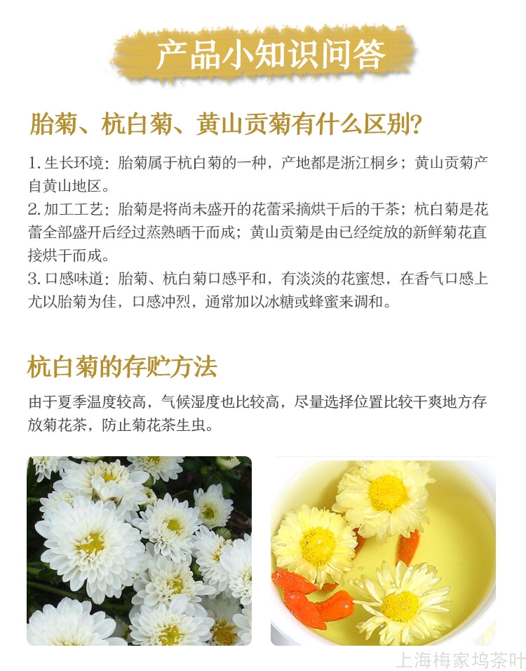 883393-杭白菊_12.jpg