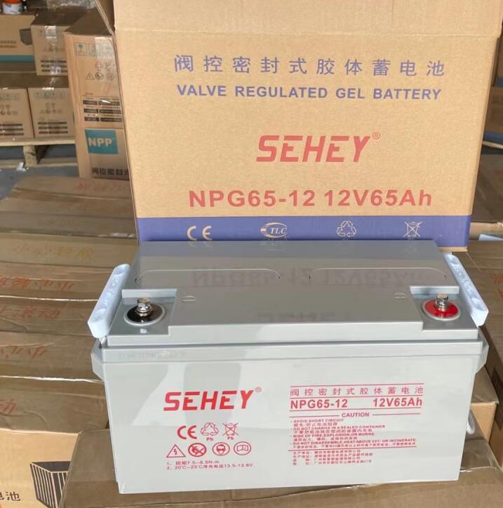 SEHEY蓄电池NPG65-12 12V65Ah为山特UPS电源供电