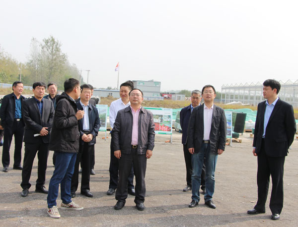 聂爱国凤台.jpg