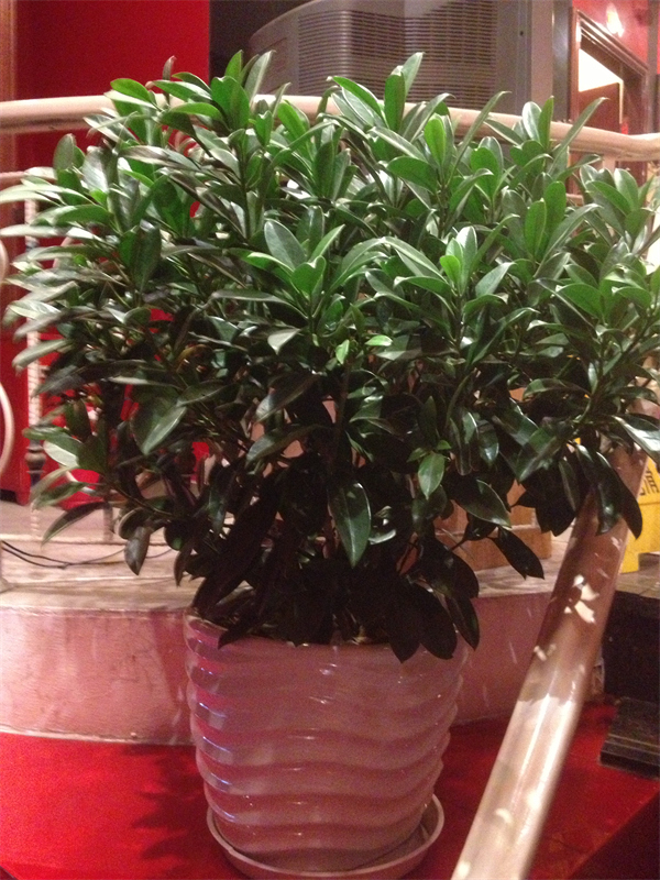 Cloud Zoom small image