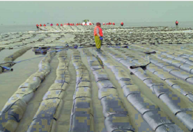 New software composite row