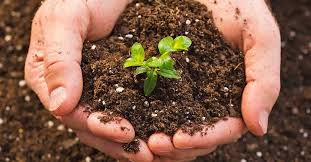 What is the difference between organic fertilizer and bio-organic fertilizer?