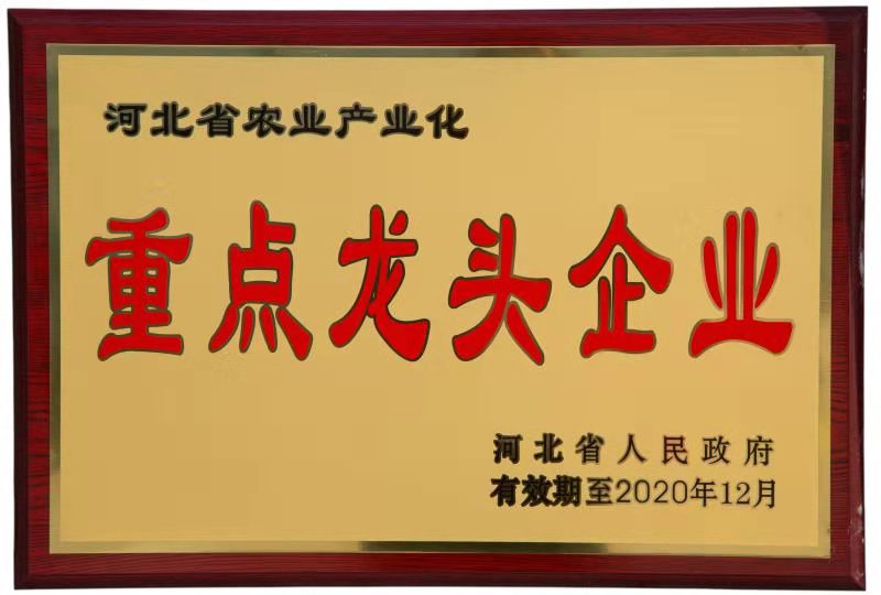 2017年1月,公司被认定为"河北省农业产业化重点龙头企业"