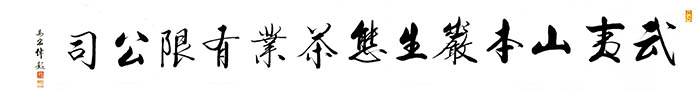 著名书法家马宏伟为企业题名.jpg