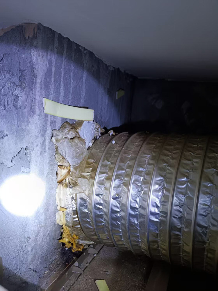 20250315203510_82974.jpg 微信圖片_20250315200530.jpg