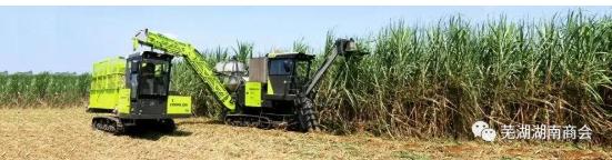 20211210145243_40374.jpg 图片3.jpg